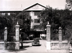 1956年的新华大院