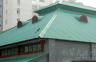 图书馆的采光高窗和圆形气窗